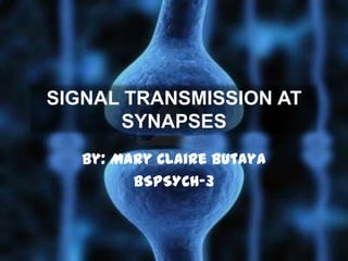 SIGNAL TRANSMISSION AT
      SYNAPSES
   By: Mary Claire Butaya
         BSPSYCH-3
 