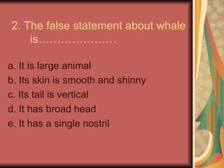 2. The false statement about whale
is…………………
a. It is large animal
b. Its skin is smooth and shinny
c. Its tail is vertical
d. It has broad head
e. It has a single nostril
 