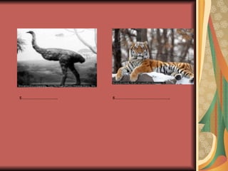 5……………………….. 6……………………………………..
 