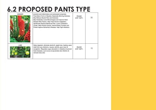 6.2 PROPOSED PANTS TYPE
 