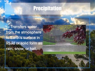 12
Precipitation
Transfers water
from the atmosphere
to Earth’s surface in
liquid or solid form as
rain, snow, or hail.
 