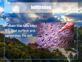 13
Infiltration
Rain that falls into
the land surface and
penetrates the soil.
 