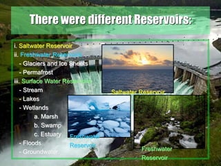 18
There were different Reservoirs:
i. Saltwater Reservoir
ii. Freshwater Reservoirs
- Glaciers and Ice Sheets
- Permafrost
iii. Surface Water Reservoirs
- Stream
- Lakes
- Wetlands
a. Marsh
b. Swamp
c. Estuary
- Floods
- Groundwater
Saltwater Reservoir
Freshwater
Reservoir
Freshwater
Reservoir
 