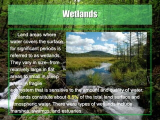 32
Wetlands
Land areas where
water covers the surface
for significant periods is
referred to as wetlands.
They vary in size--from
relatively large in flat
areas to small in steep
areas. A fragile
ecosystem that is sensitive to the amount and quality of water.
Wetlands constitute about 8.5% of the total land surface and
atmospheric water. There were types of wetlands include
marshes, swamps, and estuaries.
 
