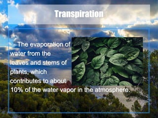 9
Transpiration
The evaporation of
water from the
leaves and stems of
plants, which
contributes to about
10% of the water vapor in the atmosphere.
 