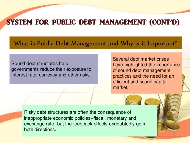 Public Debt Management: Reflections On Strategy And Structure – VNJQN