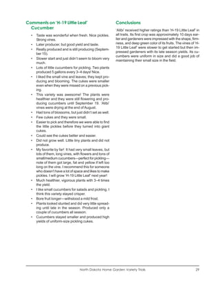Comments on ‘H-19 Little Leaf’                             Conclusions
  Cucumber                                                 ‘Alibi’ received higher ratings than ‘H-19 Little Leaf’ in
  •   Taste was wonderful when fresh. Nice pickles.        all traits. Its first crop was approximately 10 days ear-
      Strong vines.                                        lier and gardeners were impressed with the shape, firm-
  •   Later producer, but good yield and taste.            ness, and deep green color of its fruits. The vines of ‘H-
                                                           19 Little Leaf’ were slower to get started but then im-
  •   Really produced and is still producing (Septem-
                                                           pressed gardeners with its late season yields. Its cu-
      ber 15).
                                                           cumbers were uniform in size and did a good job of
  •   Slower start and just didn’t seem to bloom very
                                                           maintaining their small size in the field.
      much.
  •   Lots of little cucumbers for pickling. Two plants
      produced 5 gallons every 3–4 days! Nice.
  •   I liked the small vine and leaves; they kept pro-
      ducing and blooming. The cukes were smaller
      even when they were missed on a previous pick-
      ing.
  •   This variety was awesome! The plants were
      healthier and they were still flowering and pro-
      ducing cucumbers until September 19. ‘Alibi’
      vines were drying at the end of August.
  •   Had tons of blossoms, but just didn’t set as well.
  •   Few cukes and they were small.
  •   Easier to pick and therefore we were able to find
      the little pickles before they turned into giant
      cukes.
  •   Could see the cukes better and easier.
  •   Did not grow well. Little tiny plants and did not
      produce.
  •   My favorite by far! It had very small leaves, but
      lots of them, long vines, with flowers and tons of
      small/medium cucumbers—perfect for pickling—
      note of them got large, fat and yellow if left too
      long on the vine. I recommend this for someone
      who doesn’t have a lot of space and likes to make
      pickles. I will grow ‘H-19 Little Leaf’ next year!
  •   Much healthier, vigorous plants with 3–4 times
      the yield.
  •   I like small cucumbers for salads and pickling. I
      think this variety stayed crisper.
  •   Bore fruit longer—withstood a mild frost.
  •   Plants looked stunted and did very little spread-
      ing until late in the season. Produced only a
      couple of cucumbers all season.
  •   Cucumbers stayed smaller and produced high
      yields of uniform-size pickling cukes.




                                   North Dakota Home Garden Variety Trials                                        29
 