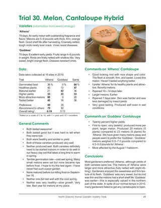 Trial 30. Melon, Cantaloupe Hybrid
Varieties (information from seed catalogs)
‘Athena’
79 days. An early melon with outstanding fragrance and
flavor. Melons are 5–6 pounds with thick, firm, orange
flesh. Good shelf life after harvesting. Coarsely netted,
tough rinds rarely ever crack. Vines resist diseases.
‘Goddess’
70 days. Excellent early yields. Fruits range 4–6 pounds
in weight. Rinds are finely netted with shallow ribs. Very
sweet, bright orange flesh. Disease-resistant vines.


Data                                                                 Comments on ‘Athena’ Cantaloupe
Data were collected at 16 sites in 2010.                                •   Good looking rind with nice shape and color.
                                                                            The flesh is smooth, firm, and sweet. Loved this
Trait                         ‘Athena’     ‘Goddess’        Same            melon. Haven’t tasted anything better.
Germinated best                  36 %           0%           64 %       •   I prefer ‘Athena’ for its healthy plants and attrac-
Healthier plants                 40            13            47             tive, flavorful melons.
Matured earlier                  21            43            36         •   Ripened 10-–14 days later.
Higher yields                    33            33            33         •   Larger melons. Earlier.
More attractive melons           80             0            20         •   Ripened 7 days later. Skin was harder and was
Tasted better                    45            18            36             less damaged by insect pests.
Preference          65                        35                        •   Very good tasting. Produced well even in wet
Recommend to others 75                        50                            conditions.
Overall rating1     6.19                      5.13
1
    Rated on a scale of 1 to 10, with 1 = poor and 10 = excellent.
                                                                     Comments on ‘Goddess’ Cantaloupe
                                                                        •   Twenty percent higher yields.
General Comments                                                        •   First to ripen; very tasteful; produced more per
       •   Both tasted awesome!                                             plant; larger melon. Produced 20 melons (5
       •   Both tasted good but it was hard to tell when                    plants) compared to 23 melons (9 plants) for
           they were ripe.                                                  ‘Athena’. We have given many melons away and
       •   Both were healthy and similar in yield.                          people seem to prefer the ‘Goddess’. ‘Goddess’
                                                                            melons weighed 6.0–7.0 pounds compared to
       •   Both of these varieties produced very well.
                                                                            4.5–5.0 pounds for ‘Athena’.
       •   Neither produced well. Both varieties definitely
                                                                        •   More affected by the August 1 hailstorm.
           need to be started indoors in order to do well in
           our heavy clay soil that takes a long time to warm
           in spring.                                                Conclusions
       •   Terrible germination rate—cold wet spring. Many
           small melons were set but none became ripe                Most gardeners preferred ‘Athena’, although yields of
           before frost. I hope to try this test again. I have       both varieties were low. The melons of ‘Athena’ were
           never had such a poor garden.                             larger and more attractive (fully netted with slight rib-
       •   None matured before our killing frost on Septem-          bing). Gardeners enjoyed the sweetness and firm tex-
           ber 18.                                                   ture of its flesh. ‘Goddess’ was very sweet, but its rind
                                                                     was thin and the melons had a short shelf life.‘Goddess’
       •   Neither one did real well with the cool spring.
                                                                     was earlier—this is especially valued in the northern
       •   Neither was very healthy—slow growth. Very                part of the state. In spite of our normal temps in 2010,
           late. Bad year for melons at my place.                    many gardeners failed to get any cantaloupes to ripen.


                                             North Dakota Home Garden Variety Trials                                         49
 