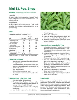 Trial 33. Pea, Snap
Varieties (information from seed catalogs)
‘Cascadia’
65 days. The 2.5-foot vines produce a cascade of deli-
cious, dark green peas. Vines tolerate diseases. Trel-
lising is optional.
‘Sugar Sprint’
58 days. Short, 2-foot vines produce 3-inch, nearly
stringless pods. Excellent eating quality. Does not re-
quire trellising.


Data
                                                                        •   Nice, long pods.
Data were collected at 32 sites in 2010.                                •   About 30 % better yield.
                                             ‘Sugar                     •   Came up better, was healthier and tasted bet-
Trait                        ‘Cascadia’      Sprint’        Same            ter—all around better than ‘Sugar Sprint’.
                                                                        •   Yield was average compared to most peas I have
Germinated best                  42 %          35 %          23 %           grown in the past.
Healthier plants                 45            19            35
Matured earlier                  42            32            26
Higher yields                    47            37            17      Comments on ‘Sugar Sprint’ Pea
More attractive pods             40            20            40         •   We ate them like candy. Produced nice big pods.
Tasted better                    17            59            24             Nice, pale green, wide pods each with 5–6 peas.
Preference          50                        50                            Pods were tender, stringless, and held up to the
Recommend to others 55                        64                            summer heat.
Overall rating1     6.38                      6.43                      •   Grew the best in our garden and produced first.
1
    Rated on a scale of 1 to 10, with 1 = poor and 10 = excellent.
                                                                            With our short growing season I like plants that
                                                                            produce fast.
                                                                        •   Produced pods earlier. Didn’t require trellising.
General Comments                                                        •   One week earlier. Plants looked and were healthy
       •   Both had great flavor. It’s the first veggie gone off            and sturdy. Sweeter and more pods.
           the veggie trays!                                            •   Better germination and plants looked healthier.
       •   Taste better shelled. Not as good as ‘Sugar Ann’.                More pods. Had the taste my family preferred.
       •   Both got a moldy appearance on the leaves, but               •   Sweeter. This would be great for someone who
           continued to produce.                                            was limited on space.
       •   Nice, healthy plants.                                        •   Tasted much better; the pod was sweet.
       •   Neither produced very high yield.                            •   Better tasting and produced more.
       •   Produced at the same time and the pods looked                •   Produced a single, good-sized picking; then
           the same.                                                        plants shrank and died.


Comments on ‘Cascadia’ Pea                                           Conclusions
       •   Pods were bigger, but less tender.
                                                                     Neither variety was exceptional. Neither variety was
       •   Vines were taller. Produced 3–4 days earlier.             clearly better than the other. Gardeners were generally
           Produced more pods and produced later into the            lukewarm on their recommendations and were evenly
           summer—into the middle of August.                         split on which of the two varieties they preferred. Many
       •   Just performed better overall. Had a nice, juicy,         gardeners felt ‘Cascadia’ had healthier, more produc-
           plump taste.                                              tive vines. The pods of ‘Sugar Sprint’ were not as at-
       •   Less powdery mildew. Vines climbed better.                tractive, but were definitely sweeter.


                                             North Dakota Home Garden Variety Trials                                      53
 