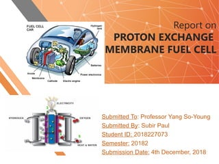 Report on
PROTON EXCHANGE
MEMBRANE FUEL CELL
Submitted To: Professor Yang So-Young
Submitted By: Subir Paul
Student ID: 2018227073
Semester: 20182
Submission Date: 4th December, 2018
 