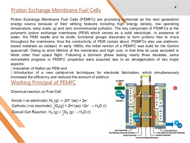 proton exchange membrane fuel cell