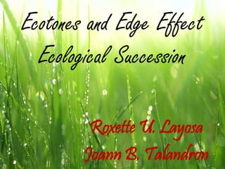 Ecotones and Edge Effect 
Ecological Succession 
Roxette U. Layosa 
Joann B. Talandron 
 
