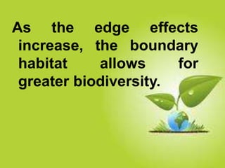 As the edge effects 
increase, the boundary 
habitat allows for 
greater biodiversity. 
 