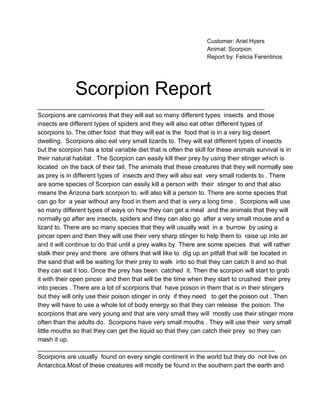 Customer: Ariel Hyers
Animal: Scorpion
Report by: Felicia Ferentinos
Scorpion Report
_________________________________________________________________
Scorpions are carnivores that they will eat so many different types  insects  and those
insects are different types of spiders and they will also eat other different types of
scorpions to. The other food  that they will eat is the  food that is in a very big desert
dwelling.  Scorpions also eat very small lizards to. They will eat different types of insects
but the scorpion has a total variable diet that is often the skill for these animals survival is in
their natural habitat . The Scorpion can easily kill their prey by using their stinger which is
located  on the back of their tail. The animals that these creatures that they will normally see
as prey is in different types of  insects and they will also eat  very small rodents to . There
are some species of Scorpion can easily kill a person with  their  stinger to and that also
means the Arizona bark scorpion to. will also kill a person to. There are some species that
can go for  a year without any food in them and that is very a long time .  Scorpions will use
so many different types of ways on how they can get a meal  and the animals that they will
normally go after are insects, spiders and they can also go  after a very small mouse and a
lizard to. There are so many species that they will usually wait  in a  burrow  by using a
pincer open and then they will use their very sharp stinger to help them to  raise up into air
and it will continue to do that until a prey walks by. There are some species  that  will rather
stalk their prey and there  are others that will like to  dig up an pitfall that will  be located in
the sand that will be waiting for their prey to walk  into so that they can catch it and so that
they can eat it too. Once the prey has been  catched  it. Then the scorpion will start to grab
it with their open pincer  and then that will be the time when they start to crushed  their prey
into pieces . There are a lot of scorpions that  have poison in them that is in their stingers
but they will only use their poison stinger in only  if they need   to get the poison out . Then
they will have to use a whole lot of body energy so that they can release  the poison. The
scorpions that are very young and that are very small they will  mostly use their stinger more
often than the adults do.  Scorpions have very small mouths . They will use their  very small
little mouths so that they can get the liquid so that they can catch their prey  so they can
mash it up.
____________________________________________________________________
Scorpions are usually  found on every single continent in the world but they do  not live on
Antarctica.Most of these creatures will mostly be found in the southern part the earth and
 