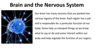 Brain and the Nervous System
Our brain has many neurons that are packed into
various regions of the brain. Each region has a job
and is responsible for a particular function of our
body. Some help us interpret things so we know
what to say or do and some interact within our
body and help regulate the function of our organs.
 
