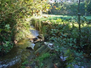 Reportagem da caminhada