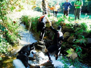 Reportagem da caminhada