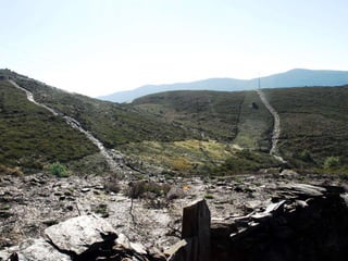 Reportagem da caminhada