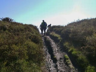 Reportagem da caminhada