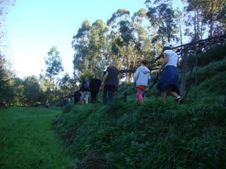 Reportagem da caminhada