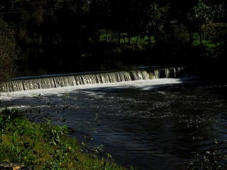 Reportagem da caminhada