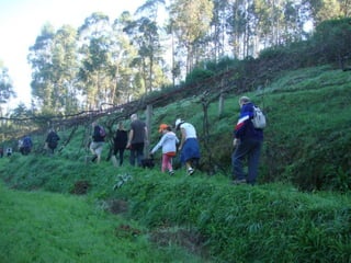 Reportagem da caminhada