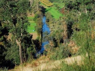 Reportagem da caminhada