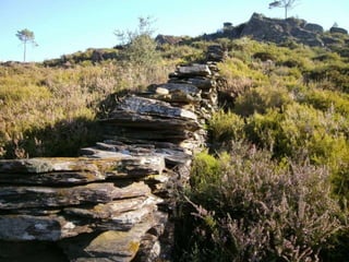 Reportagem da caminhada