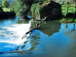 Reportagem da caminhada