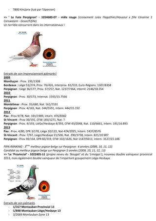 - 7800 Km/prix (tué par l’épervier)
>> ‘ Le Fute Perpignan’ - 1054680-07 - mâle rouge (croisement Jules Flagothier/Hausoul x fille Césarine 1
Corswarem - Cesar/Fifille)
Un terrible concurrent dans les internationaux !
Extraits de son impressionnant palmarès!
2009
Montluçon : Prov. 195/1308
Bordeaux : Liège 53/274, Prov. 76/426, Interprov. 81/533, Euro-Régions. 1507/8358
Perpignan : Liège 36/177, Prov. 37/257, Nat. 1237/7364, Internt. 2146/18.354
2010
Perpignan : Prov. 30/173, Internat. 1593/15.7566
2011
Montélimar : Prov. 35/680, Nat. 561/7191
Perpignan : Prov. 4/165, Nat. 144/5591, Intern. 444/15.192
2012
Pau : Prov 9/78, Nat. 101/1989, Intarn. 476/8382
St-Vincent : Prov 36/191, CFW 185/1271, Nat. ?
Perpignan : Prov. 4/193, LièGe/Hesbaye 4/393, CFW 43/2048, Nat. 110/6661, Intern. 191/16.893
2013
Pau : Prov. 4/80, EPR 3/178, Liège 10/122, Nat 424/2025, Intern. 1437/8576
St-Vincent : Prov. 7/97, Liege/Hesbaye 21/506, Nat. 290/3738, Intern. 821/10.907
Perpignan : Prov 39/154, EPR 66/319, CFW 332/1626, Nat 1147/5613, Intern. 3127/15.106
PIPA RANKING : 3ème
meilleur pigeon belge sur Perpignan 4 années (2009, 10, 11, 12)
Candidat au meilleur pigeon belge sur Perpignan 5 années (2009, 10, 11, 12, 13)
>> ‘Le ‘Provincial’ - 1022405-11 (propre neveu du ‘Nougat’ et du ‘Limoges’), nouveau double vainqueur provincial
2013, mais également double vainqueur de l’important groupement Liège-Hesbaye
Extraits de son palmarès
- 1/317 Montauban Provincial 13
- 1/848 Montauban Liège/Hesbaye 13
- 3/2069 Montauban Zone 13
 