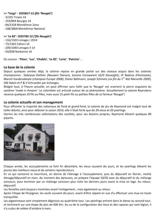 >> ‘Targa’ - 1035817-12 (fils ‘Nougat’)
- 3/105 Troyes 14
- 193/894 Bourges 14
- 84/2328 Montélimar Zone
- 108/3868 Montélimar National
>> ‘Le 82’- 1035782-12 (‘fils Nougat’)
- 116/1503 Limoges I 2014
- 73/1363 Cahors 14
- 209/1040 Limoges II 14
- 93/838 Narbonne 14
Ou encore : ‘Fitou’, ‘Luc’, ‘Chablis’, ‘Le 85’, ‘Lorie’, ‘Patricia’ …
La base de la colonie
Depuis quelques années déjà, la colonie repose en grande partie sur des oiseaux acquis dans les colonies
championnes : Dekeyser-Dethier (Nouwen Paesen), Jerome Corswarem (G/D Devooght), JP Badoux (Florizoone),
Marcel Vandenabeele (champion Europe 2008), Dieter Ballmann, Joseph Schmets (un fils du 1er
Nat Marseille 2009),
GM Adam et P & V Schroeder par échanges.
Malgré tout, à l’heure actuelle, on peut affirmer sans faillir que le ‘Nougat’ est vraiment la pierre angulaire du
système ‘made in Ampsin’. Le colombier est articulé autour de ce phénomène. Actuellement la colonie Reynckens
recense quelques 19 fils ou filles, mais aussi 15 petit-fils ou petites-filles de ce fameux ‘Nougat’!
La colonie actuelle et son management
Pour affronter la majorité des nationaux de fond et grand-fond, la colonie de jeu de Raymond est malgré tout de
taille réduite, ainsi pour débuter la saison 2014, elle n’était forte que de 20 vieux et 20 yearlings.
Hormis les très nombreuses sollicitations des sociétés, pour ses besoins propres, Raymond élèvent quelques 80
pipants.
Chaque année, les accouplements se font fin décembre, les vieux couvent dix jours, et les yearlings élèvent les
jeunes des meilleurs vieux et de certains reproducteurs.
En ce qui concerne la nourriture, on donne de l’élevage à l’accouplement, puis du dépuratif en février, moitié
élevage/dépuratif en mars. Au moment des épreuves, on prépare l’équipe 50/50 avec du dépuratif et du mélange
concours, pour terminer par un mélange concours plus riche les derniers jours avant la mise en loge. Au retour,
dépuratif.
Les femelles sont toujours montrées avant l’enlogement , mais également au retour.
Après l’étape de Perpignan, les veufs couvent dix jours, avant d’être séparé en vue d’y effectuer une mue en toute
tranquillité.
Les pigeonneaux sont simplement dégrossis au quatrième tour. Les yearlings entrent dans le danse au second tour,
et terminent sur une étape de plus de 600 Km. Au vu de la configuration des lieux et des rapaces qui sont légion, il
n’y a plus de volées d’octobre à mars.
 