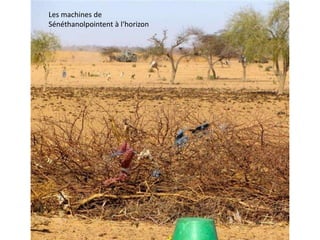 Les machines de
Sénéthanolpointent à l‘horizon