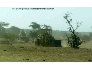 Les tracto-pelles de la mortentrent en action