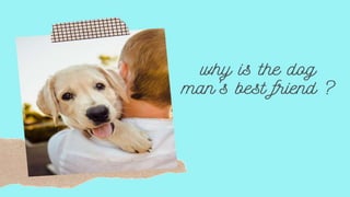 Why is the dog man's best friend ?