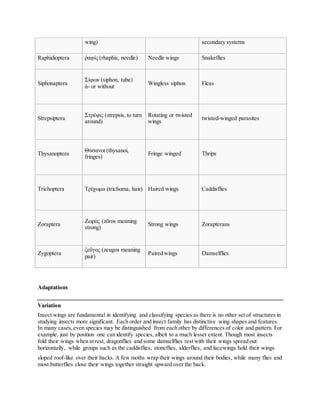 Insects wing | DOCX