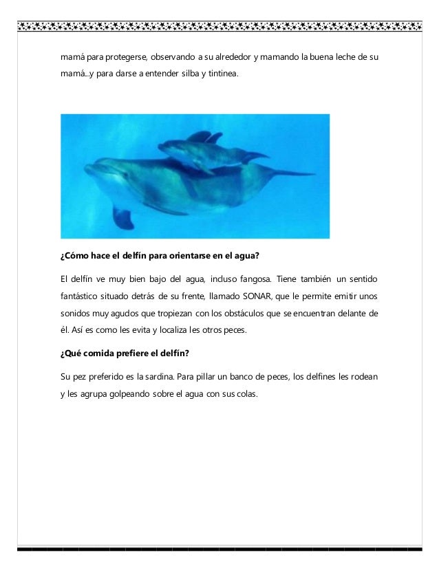 Reportaje