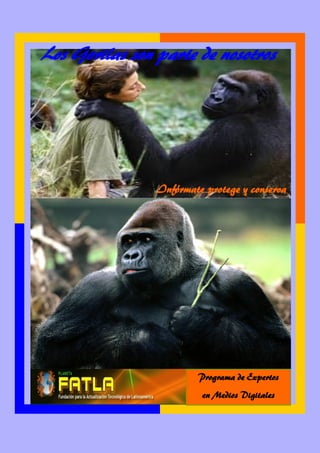 Los Gorilas son parte de nosotros
Infórmate protege y conserva
Los Gorilas son parte de nosotros
Infórmate protege y conserva
Programa de Expertos
en Medios Digitales
 