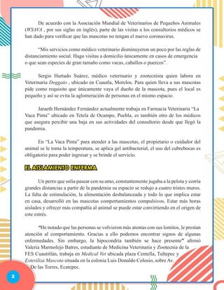 2
	 De acuerdo con la Asociación Mundial de Veterinarios de Pequeños Animales
(WSAVA , por sus siglas en inglés), parte de las visitas a los consultorios médicos se
han dado para verificar que las mascotas no tengan el nuevo coronavirus.
	 “Mis servicios como médico veterinario disminuyeron un poco por las reglas de
distanciamiento social. Hago visitas a domicilio únicamente en casos de emergencia
o que sean especies de gran tamaño como vacas, caballos o puercos”.
	 Sergio Hurtado Suárez, médico veterinario y zootecnista quien labora en
Veterinaria Doggato , ubicado en Cuautla, Morelos. Para quien lleva a sus mascotas
pide como requisito que únicamente vaya el dueño de la mascota, pues el local es
pequeño y así se evita la aglomeración de personas en el mismo espacio.
	 Jaraeth Hernández Fernández actualmente trabaja en Farmacia Veterinaria “La
Vaca Pinta” ubicado en Tetela de Ocampo, Puebla, es también otro de los médicos
que asegura percibir una baja en sus actividades del consultorio desde que llegó la
pandemia.
	 En “La Vaca Pinta” para atender a las mascotas, el propietario o cuidador del
animal se le toma la temperatura, se aplica gel antibacterial, el uso del cubrebocas es
obligatorio para poder ingresar y se brinde el servicio.
EL AISLAMIENTO ENFERMA
	 Un perro que solía pasear con su amo, constantemente jugaba a la pelota y corría
grandes distancias a partir de la pandemia su espacio se redujo a cuatro tristes muros.
La falta de estimulación, la alimentación desbalanceada y todo lo que implica estar
en casa, desarrolló en las mascotas comportamientos compulsivos. Estar más horas
aislados y ofrecer más compañía al animal se puede estar convirtiendo en el origen de
este estrés.
	 “He notado que las personas se volvieron más atentas con sus lomitos, le prestan
atención al comportamiento. Gracias a ello podemos encontrar signos de algunas
enfermedades. Sin embargo, la hipocondría también se hace presente” afirmó
Valeria Marmolejo Batres, estudiante de Medicina Veterinaria y Zootecnia de la
FES Cuautitlán, trabaja en Medical Vet ubicada plaza Centella, Tultepec y
Esteriliza Mascota situada en la colonia Luis Donaldo Colosio, sobre Av.
De las Torres, Ecatepec.
 