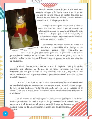 4
	 “Yo tenía 10 años cuando le pedí a mis papás una
mascota, siempre le he tenido miedo a los perros así
que esa no era una opción, en cambio, los gatos me
parecen lo más tierno del mundo”. Patricia recuerda
mientras acaricia a la pequeña Kelly.		
	 “Imagina el amor que siento por ella, la criamos
como una niña. He vivido desde mi infancia, mi
adolescencia y ahora un poco de mi vida adulta a su
lado. De los 25 gatos que hay en mi casa, Kelly es
la consentida, con ella empezamos lo que nosotros
llamamos ‘nuestra colección’.”
	 El hermano de Patricia estudia la carrera de
veterinaria en Cuautitlán, él se encarga de las
revisiones aunque están conscientes de
que no es ningún profesional, pero con la pandemia y la escasa
producción de trabajo a veces es difícil alimentar a todos los gatos y tenerles el
cuidado médico correspondiente. Ellos saben que no pueden solventar una situación
de emergencia.
	
	 Un diente chueco ya vencido por la edad le impedía comer y le estaba
causando una infección de la que no se había percatado. La visita al
veterinario era más que necesaria si no quería verla sufrir. Kelly empezaba a tirar
saliva e intentaba meter su patita en su hocico para disminuir la molestia, sin tener un
resultado favorable.
	
	 “La llevé con su doctor de toda la vida, afortunadamente se encuentra cerca de
mi casa la clínica porque no cuento con una transportadora. No había de otra, así que,
la metí en una mochila envuelta con una toalla para que no se escapara en el
camino. Con todo el miedo de que se escapara de mis manos me fui muy temprano al
consultorio.”
	 Con un cubrebocas de tela desgastado, unos guantes quirúrgicos y una buena
dosis de gel antibacterial, Patricia llegó con Kelly en sus brazos al veterinario. Un
momento crucial fue cuando el médico preguntó la edad de la pequeña
siamesa ya que sus 12 años le jugaban en contra ante los pronósticos de
salud.
 