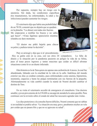 5
	 Por supuesto, siempre hay un riesgo con la
anestesia. Sin duda, las condiciones específicas
(los traumatismos, las enfermedades, la edad y las
infecciones) pueden aumentar los riesgos.
	 El veterinario dijo que había una probabilidad
de un 70/30, comentó que no dejaría que se quedara
en la plancha. “La abracé con todas mis fuerzas.
Me empezaron a temblar los brazos y no sabía
qué hacer”. ─Unas lágrimas aparecieron mientras
relataba ese duro momento.
	
	 “El doctor me pidió bajarla para checar
su pulso y pudiera tomar la decisión”.
	 Paty se arriesgó y dijo que sí al procedimiento.
Hoy su gatita está en su casa, con sus otros 24 compañeros. La falta de
dinero y la situación por la pandemia pusieron en peligro la vida de su felina,
pues al tener pocos ingresos y tantas mascotas que cuidar es difícil afrontar
situaciones como lo es un diente infectado.
	 Otra historia es la de Tara quien era apenas una cachorrita de 4 meses, la cual fue
abandonada, lidiando con la crueldad de la vida en la calle. Indefensa del mundo
exterior sus días ya estaban contados, pues enfermedades como anemia, hipotermia,
neumonía, caquexia y hasta las pulgas terminarían con sus fuerzas de la pequeña.
Afortunadamente su vida cambió cuando la mamá de Noemí decidió cambiar el
destino de Tara.
	
	 En su visita al veterinario accedió de emergencia al consultorio. Una doctora
amable y joven proveniente de la UNAM se encargó de atenderla lo antes posible. Para
continuar con la revisión sobre el estado de salud fue necesario agendar más visitas.
	 Los días posteriores a la consulta fueron difíciles, Noemí comenta que no sabían
si en realidad se podría salvar. “La situación era muy grave, pasabamos noches en vela
por cuidar que no pasara frío y que no se agravara su salud”.
	
 