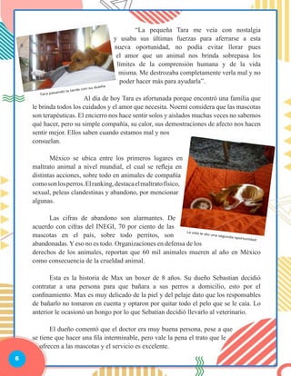 6
		 “La pequeña Tara me veía con nostalgia
y usaba sus últimas fuerzas para aferrarse a esta
nueva oportunidad, no podía evitar llorar pues
el amor que un animal nos brinda sobrepasa los
límites de la comprensión humana y de la vida
misma. Me destrozaba completamente verla mal y no
poder hacer más para ayudarla”.
	 Al día de hoy Tara es afortunada porque encontró una familia que
le brinda todos los cuidados y el amor que necesita. Noemí considera que las mascotas
son terapéuticas. El encierro nos hace sentir solos y aislados muchas veces no sabemos
qué hacer, pero su simple compañía, su calor, sus demostraciones de afecto nos hacen
sentir mejor. Ellos saben cuando estamos mal y nos
consuelan.
	 México se ubica entre los primeros lugares en
maltrato animal a nivel mundial, el cual se refleja en
distintas acciones, sobre todo en animales de compañía
comosonlosperros.Elranking,destacaelmaltratofísico,
sexual, peleas clandestinas y abandono, por mencionar
algunas.
	 Las cifras de abandono son alarmantes. De
acuerdo con cifras del INEGI, 70 por ciento de las
mascotas en el país, sobre todo perritos, son
abandonadas.Yeso no es todo. Organizaciones en defensa de los
derechos de los animales, reportan que 60 mil animales mueren al año en México
como consecuencia de la crueldad animal.
	 Esta es la historia de Max un boxer de 8 años. Su dueño Sebastian decidió
contratar a una persona para que bañara a sus perros a domicilio, esto por el
confinamiento. Max es muy delicado de la piel y del pelaje dato que los responsables
de bañarlo no tomaron en cuenta y optaron por quitar todo el pelo que se le caía. Lo
anterior le ocasionó un hongo por lo que Sebatian decidió llevarlo al veterinario.
	 El dueño comentó que el doctor era muy buena persona, pese a que
se tiene que hacer una fila interminable, pero vale la pena el trato que le
ofrecen a las mascotas y el servicio es excelente.
 
