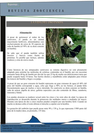 Reportaje oso panda