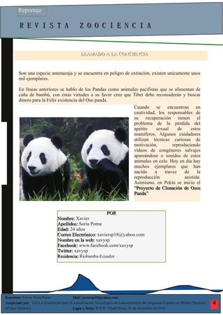 Reportaje oso panda