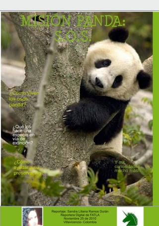 MISIÓN PANDA:
         S.O.S.


¿Cómo viven
los osos
panda?


 ¿Qué los
 hace una
 especie en
 vía de
 extinción?


  ¿Cómo                                                   Y mil
  ayudar a su                                             curiosidades...
  preservación?                                           mucho más!!




 Issue 1                                                             Page 1
                  Reportaje: Sandra Liliana Ramos Durán
                       Reportera Digital de FATLA
                          Noviembre 25 de 201 0
                          Villavicencio- Colombia
 
