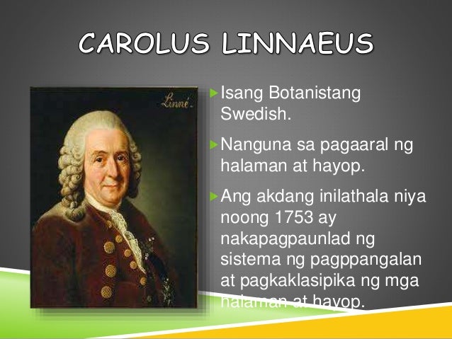 Panahon Ng Enlightenment Siyentipiko At Industriyalismo