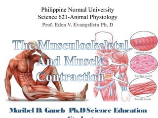Maribel D. Ganeb Ph.DScience Education
Philippine Normal University
Science 621-Animal Physiology
 
