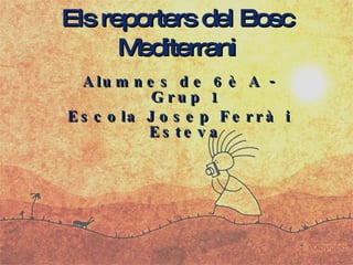Els reporters del Bosc Mediterrani ,[object Object],[object Object]