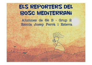Els reporters del
Bosc Mediterrani
Alumnes de 6è B - Grup 2
Escola Josep Ferrà i Esteva
 