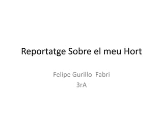 Reportatge Sobre el meu Hort
Felipe Gurillo Fabri
3rA
 