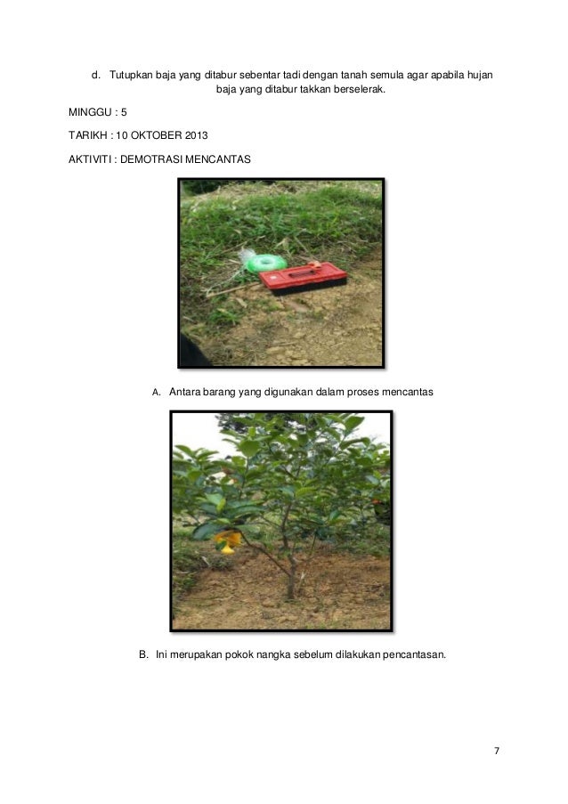 LAPORAN LADANG PENGELUARAN TANAMAN BUAH BUAHAN LAPORAN LADANG PENGELUARAN TANAMAN BUAH BUAHAN